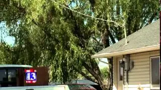 When Lightning Strikes