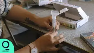 Where Does Your DNA Go?