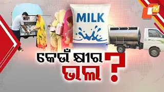 Which Milk Is Better? Branded Packets vs Milk Van Samples Tested