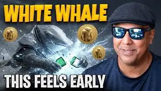 $WHITEWHALE | This Meme Coin Is Quietly Exploding While Everyone Watches the Wrong Charts