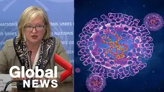 WHO confirms 131 monkeypox cases since outbreak first reported, remains "containable"