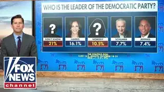 Who do Democrats think is their leader?