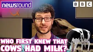 Who First Knew that Cows Had Milk? 🐄 | Newsround