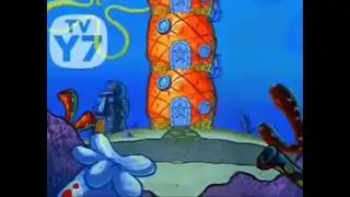 who live under the pineapple under the pineapple