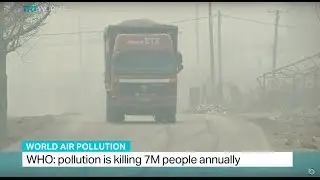 WHO says pollution is killing 7M people annually