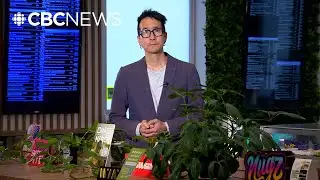 Why Alberta is seeing more boutique cannabis products