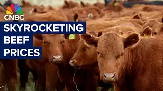 Why beef prices in the U.S. are soaring