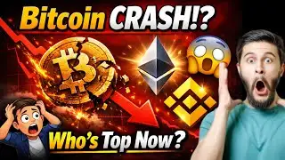 Why Bitcoin Is Falling Down? 🚨 | Which Crypto Is Top Now? | NR Research Centre #crypto #cryptonews