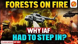 Why Climate Change is FUELING Forest Fires in Northeast India