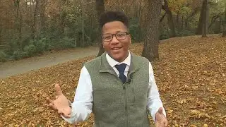 Why do leaves change color in the fall?