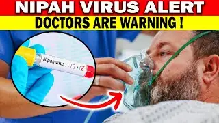 Why Doctors Are Worried About Nipah Virus