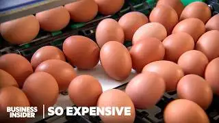 Why Expensive Eggs Are a Bigger Problem Than You Think | So Expensive | Business Insider