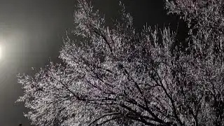 Why Houston dodged severe ice storm