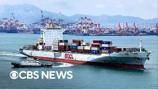 Why is the global supply chain so fragile and how can it be fixed?