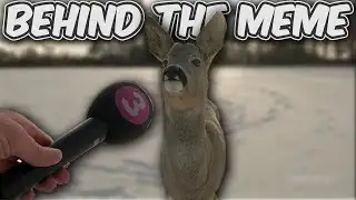 Why is This Deer Being Interviewed? | Behind The Meme