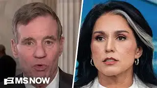 Why Sen. Warner says Gabbard may have 