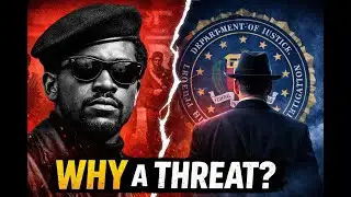 Why the Black Panthers was Considered A Threat #crimechaser  #MartinGJohnson