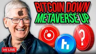 WHY The Metaverse Pump Is Only STARTING!