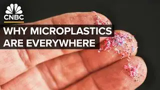 Why The Microplastics Crisis Will Only Get Worse