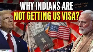 Why US Visa Delays Are Hitting Indians Hard; MEA Flags Major Concern | US Visa News