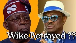 WIKES BIG SECRETS EXPOSED AHEAD OF 2027 ELECTIONS