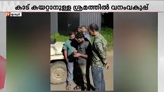 നടുറോഡിൽ ഒറ്റയാനിറങ്ങി; കുങ്കിയാനകളെ എത്തിച്ച് കാട് കയറ്റി വനം വകുപ്പ് | Wild Elephant