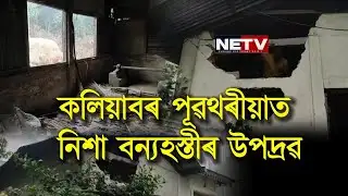 কলিয়াবৰ পূৱথৰীয়াত নিশা Wild Elephant Attack | ধানভঁৰাল–কলবনত ব্যাপক ক্ষতি | NETV