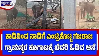 ಕಾಡಿನಿಂದ ನಾಡಿಗೆ ಎಂಟ್ರಿಕೊಟ್ಟ ಗಜರಾಜ..ಗ್ರಾಮಸ್ಥರ ಕೂಗಾಟಕ್ಕೆ ಬೆದರಿ ಓಡಿದ ಆನೆ | Wild Elephant Enters Village