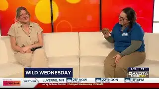 Wild Wednesday: Three Toed Box Turtle