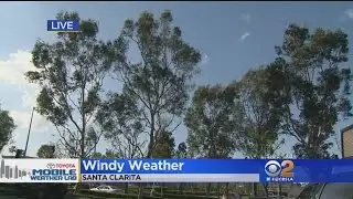 Wild Winds Expected To Whip Around The Southland