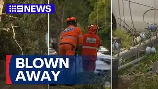 Wild winds whip through Adelaide | 9 News Australia