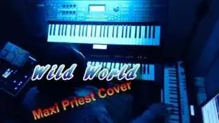 Wild World - Maxi Priest Cover {Live}