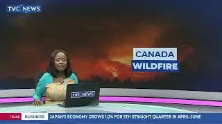 Wildfire Destroys 100 Homes In Newfoundland And Labrador