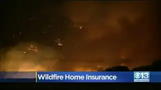 Wildfire Home Insurance