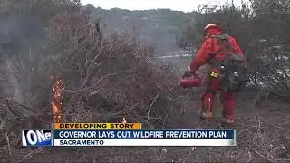 Wildfire prevention plan released
