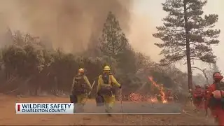 Wildfire safety