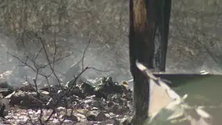 Wildfire that destroyed more than 200 acres in Bexar County 100% contained