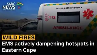 Wildfires | EMS actively dampening hotspots in Eastern Cape