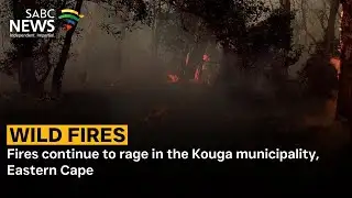 Wildfires | Fires continue to rage in the Kouga municipality, Eastern Cape