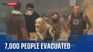 Wildfires trigger evacuations in Greece amid deadly heatwave across Southern Europe