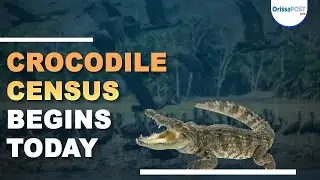 Wildlife Census Underway