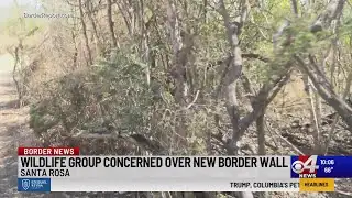 Wildlife Group Concerned over new border wall