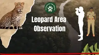 निफाड कारखाना पाहणी | सहा. वनसंरक्षक | वन्यजीव बचाव पथक #wildlife #leopard #news #nashik 