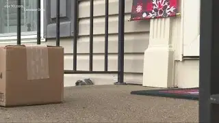 Will my mail and delivery boxes carry COVID-19?