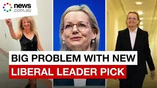 Will Sussan Ley fix the Liberal Party