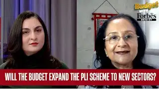Will the Budget expand the PLI scheme to new sectors?