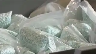 Williamson County Sheriff