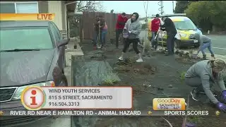 Wind Front Yard Makeover