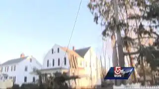 Wind topples trees, brings down power lines