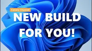 Windows 11 Build 27982 "New" Features: Microsoft Plays Catch-Up!